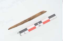 Foto von Knochenspitze (NHMW-PRAE-002257)